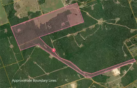 10222 County Road 316, Caldwell, TX 77836