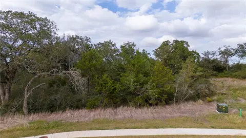 3022 Silverbell Ct, Bryan, TX 77807 photo 3