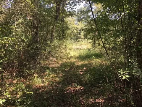 737 County Road 4030, Crockett, TX 75835