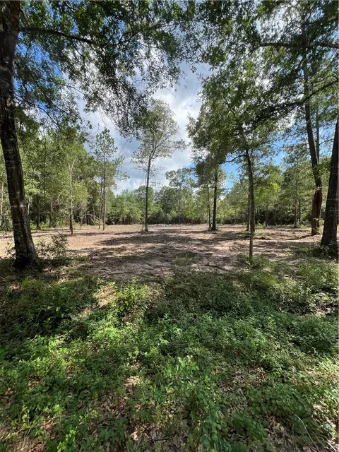 tbd Lot 3 Deerwood Dr, Plantersville, TX 77363