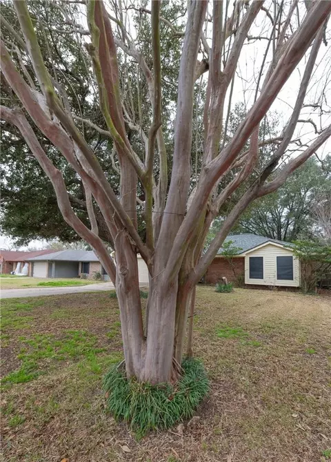 4103 Willow Oak St, Bryan, TX 77802 photo 40