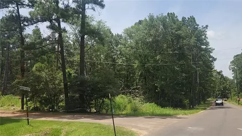 lot2 Honey Locust, Plantersville, TX 77363
