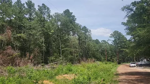 lot28 Honey Locust, Plantersville, TX 77363