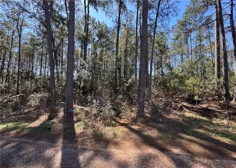 tbd Hawthorne Ln, Plantersville, TX 77363