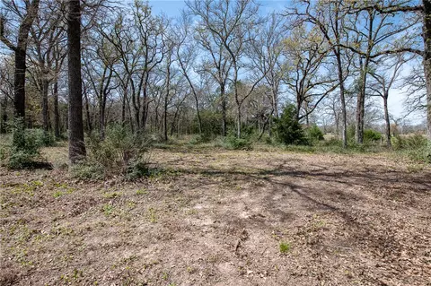 12328 Post Oak Ln, Bryan, TX 77807 photo 38
