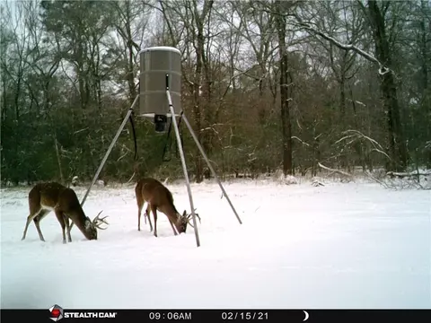 0473 Fm 3478, Huntsville, TX 77320