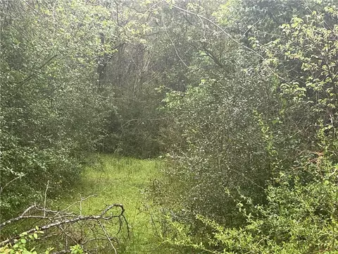 tbd Overlook Rd, Somerville, TX 77836