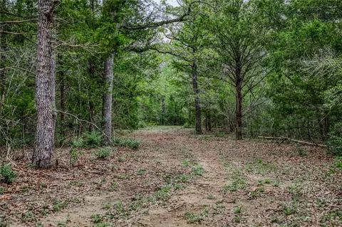 tbd County Road 125, Ledbetter, TX 78946