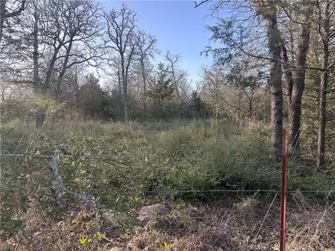 5 Acres County Road 462, Somerville, TX 77879