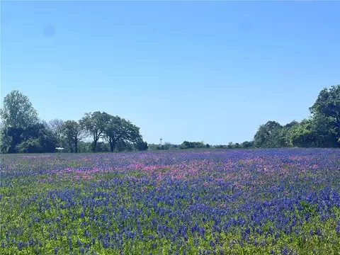 tbd 60 Fm 1227 Rd, Navasota, TX 77868