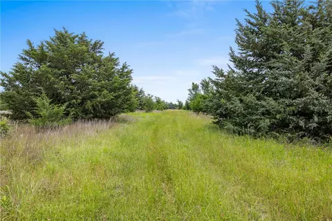 35 Ac Batson Rd, Normangee, TX 77871 photo 5