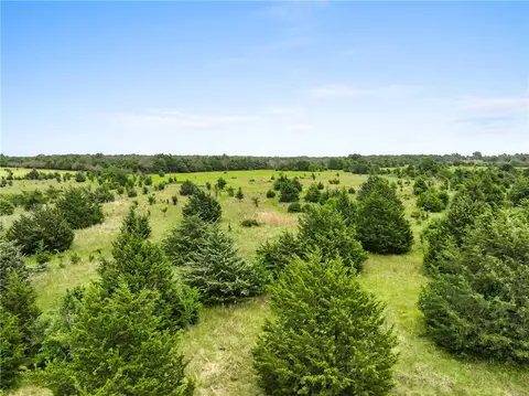 35 Ac Batson Rd, Normangee, TX 77871 photo 20