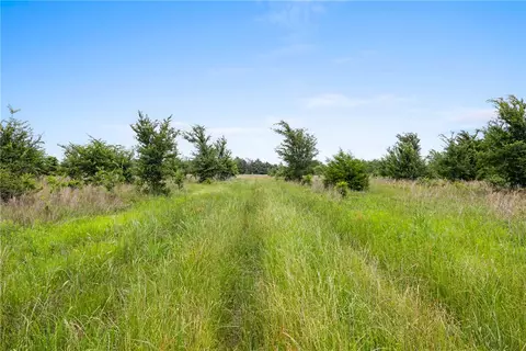 35 Ac Batson Rd, Normangee, TX 77871 photo 6
