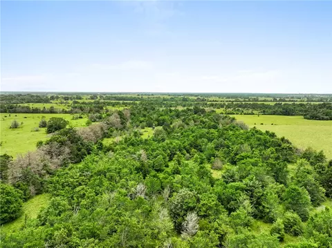 35 Ac Batson Rd, Normangee, TX 77871 photo 17