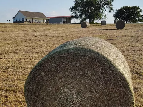 3785 County Road 405, Anderson, TX 77830 photo 28