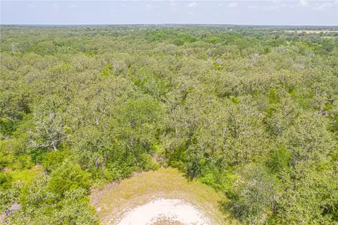 110111 Hardwood Ln, Somerville, TX 77093