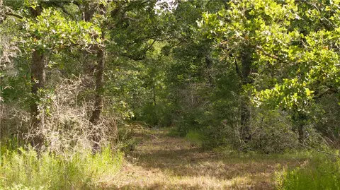 13423 Oak Dr, Iola, TX 77861 photo 33