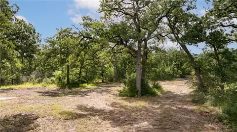 13423 Oak Dr, Iola, TX 77861 photo 7