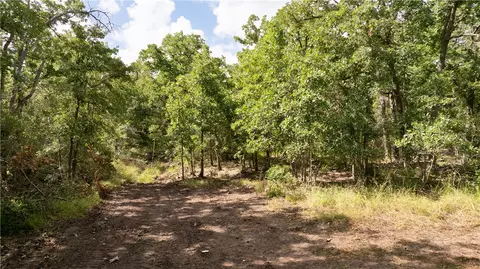 13423 Oak Dr, Iola, TX 77861 photo 34