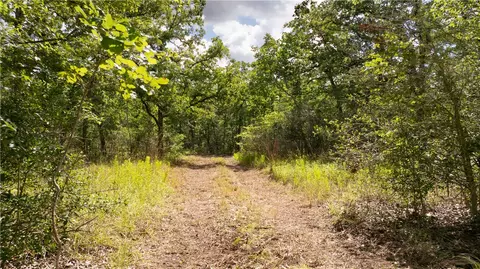 13423 Oak Dr, Iola, TX 77861 photo 28