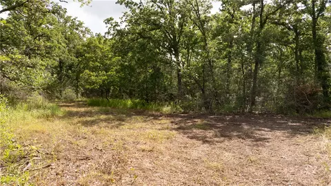 13423 Oak Dr, Iola, TX 77861 photo 31