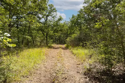 13423 Oak Dr, Iola, TX 77861 photo 11