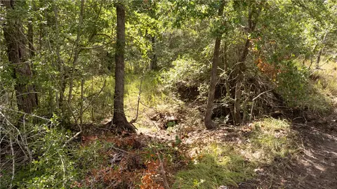 13423 Oak Dr, Iola, TX 77861 photo 35
