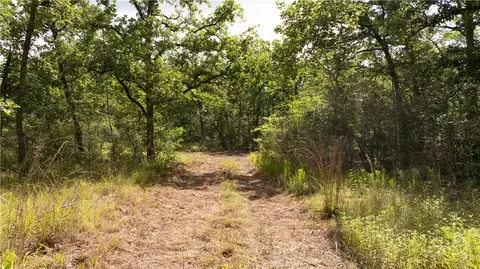 13423 Oak Dr, Iola, TX 77861 photo 29