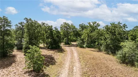 13423 Oak Dr, Iola, TX 77861 photo 24