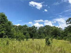 9825 County Road 173, Iola, TX 77861