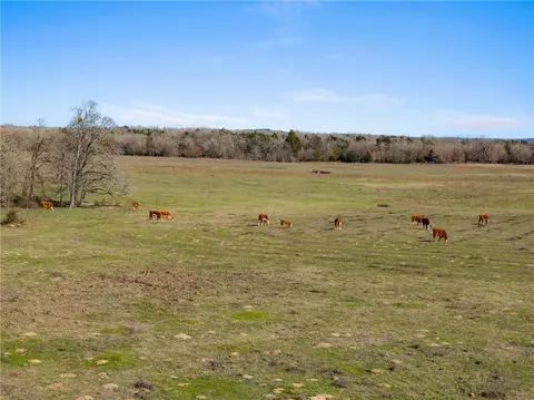 95 Acres - County Road 234, Milano, TX 76556