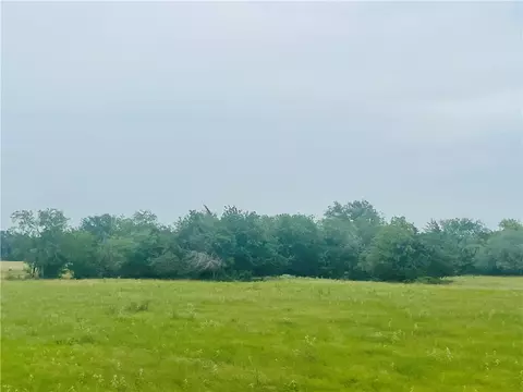 8409 S Hickory Loop, Calvert, TX 77837 photo 8