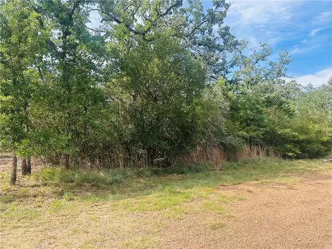 215 Mesquite Trl, Somerville, TX 77879