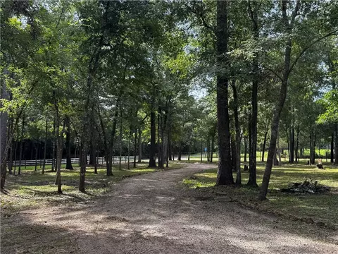 15728 Goldenrain Ln, Plantersville, TX 77363