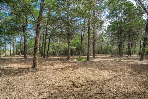 tbd Independence, Carmine, TX 78932