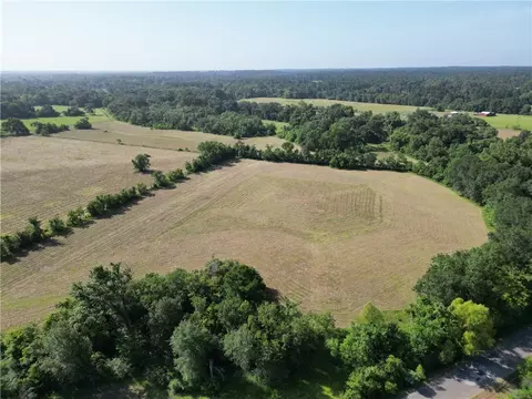 44 33 Acres County Road 202, Plantersville, TX 77363