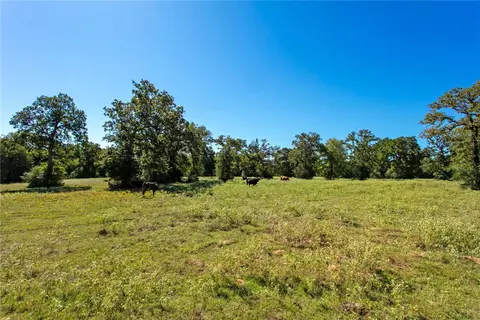 11041 Jackrabbit Ln, Bryan, TX 77808