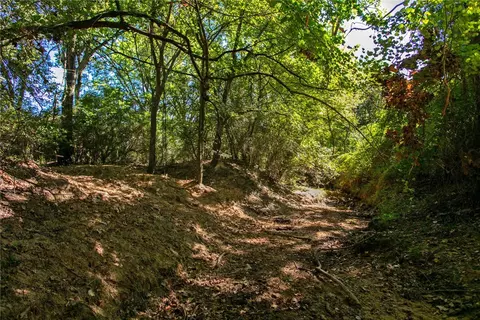 11041 Jackrabbit Ln, Bryan, TX 77808 photo 18