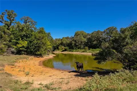 11041 Jackrabbit Ln, Bryan, TX 77808 photo 3