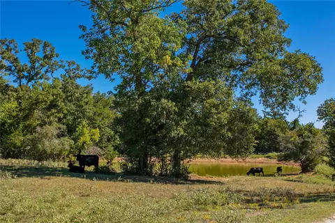 11041 Jackrabbit Ln, Bryan, TX 77808 photo 2