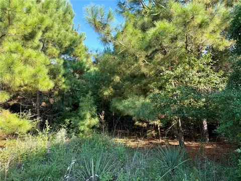 tbd Jamaica Ln, Normangee, TX 77871