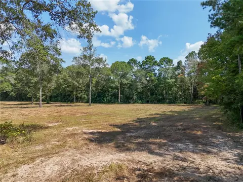 734 Salem Church Rd, Willis, TX 77378 photo 3