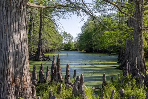 000 Clear Lake Rd, Bryan, TX 77808 photo 11
