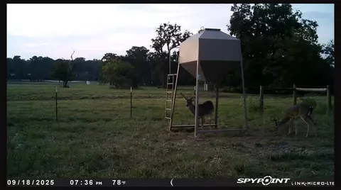 000 Clear Lake Rd, Bryan, TX 77808 photo 31