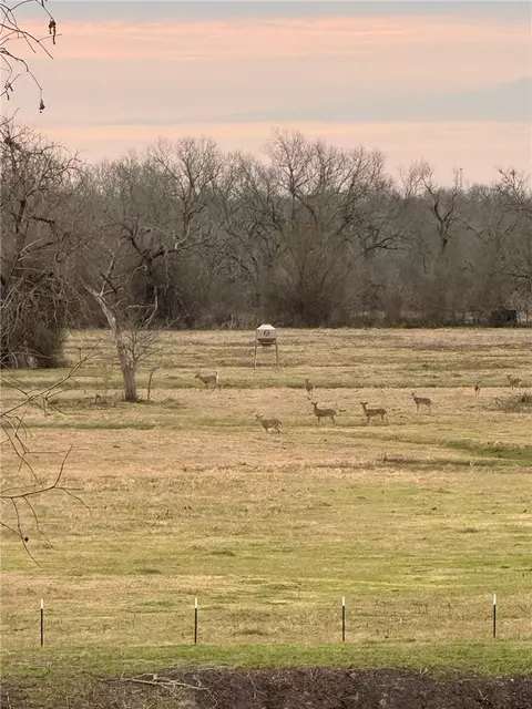 000 Clear Lake Rd, Bryan, TX 77808 photo 30