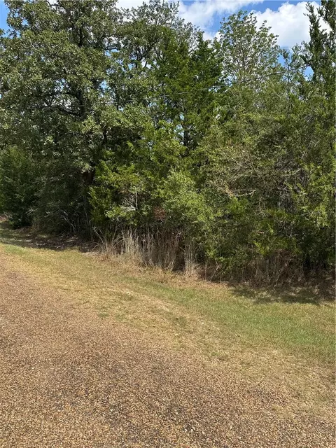 tbd Woodvine Ln, Somerville, TX 77879