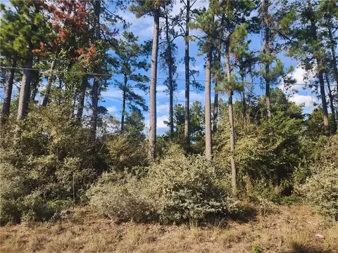lot717 Weeping Willow Ln, Plantersville, TX 77363