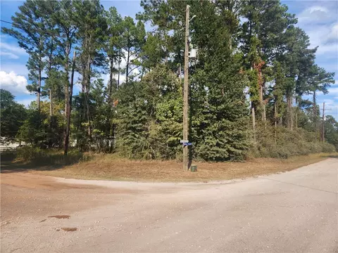 lot718 Weeping Willow Ln, Plantersville, TX 77363