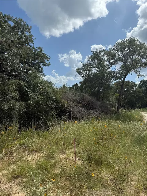 1163 Sugar Hl, Caldwell, TX 77836