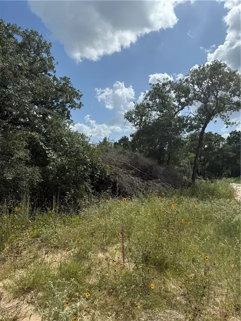 1163 Sugar Hl, Caldwell, TX 77836